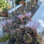 Holiday home Cosy In Allopronoia Sikinos *